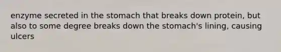 enzyme secreted in the stomach that breaks down protein, but also to some degree breaks down the stomach's lining, causing ulcers