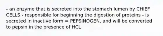 - an enzyme that is secreted into the stomach lumen by CHIEF CELLS - responsible for beginning the digestion of proteins - is secreted in inactive form = PEPSINOGEN, and will be converted to pepsin in the presence of HCL