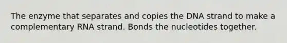 The enzyme that separates and copies the DNA strand to make a complementary RNA strand. Bonds the nucleotides together.