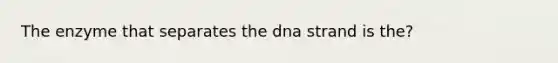 The enzyme that separates the dna strand is the?