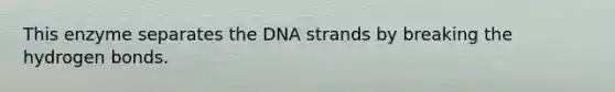 This enzyme separates the DNA strands by breaking the hydrogen bonds.