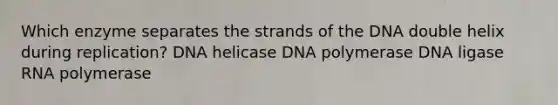 Which enzyme separates the strands of the DNA double helix during replication? DNA helicase DNA polymerase DNA ligase RNA polymerase