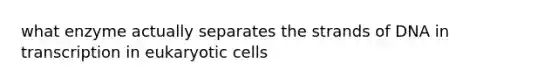 what enzyme actually separates the strands of DNA in transcription in eukaryotic cells