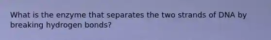 What is the enzyme that separates the two strands of DNA by breaking hydrogen bonds?