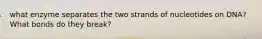 what enzyme separates the two strands of nucleotides on DNA? What bonds do they break?