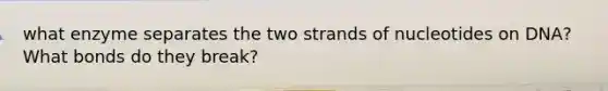 what enzyme separates the two strands of nucleotides on DNA? What bonds do they break?