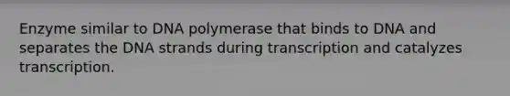 Enzyme similar to DNA polymerase that binds to DNA and separates the DNA strands during transcription and catalyzes transcription.