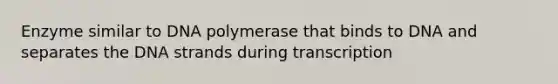 Enzyme similar to DNA polymerase that binds to DNA and separates the DNA strands during transcription