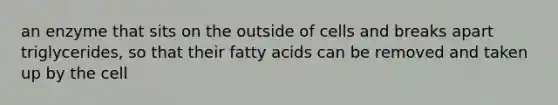 an enzyme that sits on the outside of cells and breaks apart triglycerides, so that their fatty acids can be removed and taken up by the cell