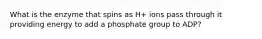 What is the enzyme that spins as H+ ions pass through it providing energy to add a phosphate group to ADP?