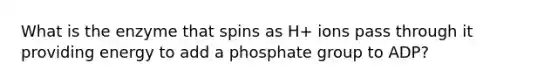 What is the enzyme that spins as H+ ions pass through it providing energy to add a phosphate group to ADP?