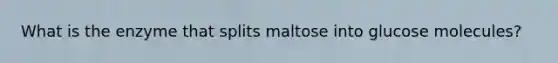 What is the enzyme that splits maltose into glucose molecules?