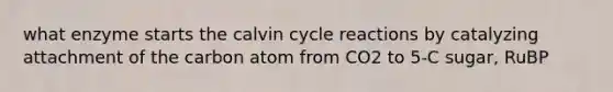 what enzyme starts the calvin cycle reactions by catalyzing attachment of the carbon atom from CO2 to 5-C sugar, RuBP