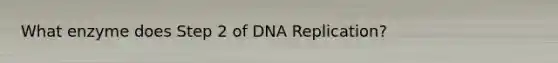 What enzyme does Step 2 of DNA Replication?