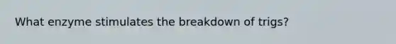 What enzyme stimulates the breakdown of trigs?