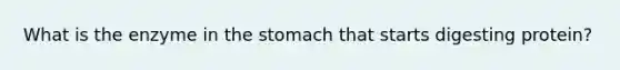 What is the enzyme in the stomach that starts digesting protein?