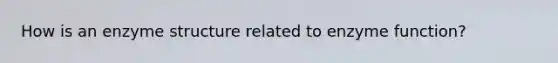 How is an enzyme structure related to enzyme function?