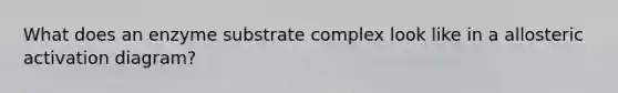 What does an enzyme substrate complex look like in a allosteric activation diagram?