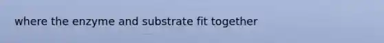 where the enzyme and substrate fit together