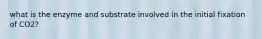 what is the enzyme and substrate involved in the initial fixation of CO2?