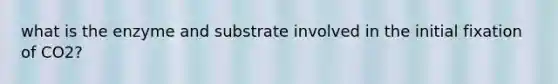 what is the enzyme and substrate involved in the initial fixation of CO2?