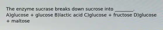 The enzyme sucrase breaks down sucrose into ________. A)glucose + glucose B)lactic acid C)glucose + fructose D)glucose + maltose