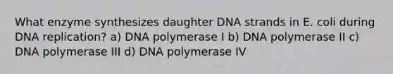 What enzyme synthesizes daughter DNA strands in E. coli during DNA replication? a) DNA polymerase I b) DNA polymerase II c) DNA polymerase III d) DNA polymerase IV