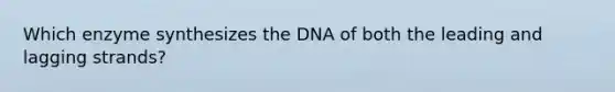 Which enzyme synthesizes the DNA of both the leading and lagging strands?