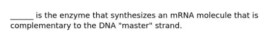 ______ is the enzyme that synthesizes an mRNA molecule that is complementary to the DNA "master" strand.