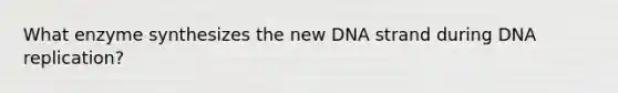 What enzyme synthesizes the new DNA strand during DNA replication?