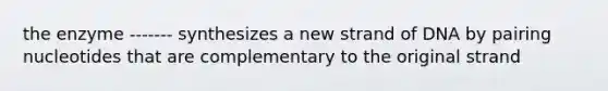 the enzyme ------- synthesizes a new strand of DNA by pairing nucleotides that are complementary to the original strand