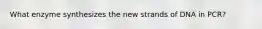 What enzyme synthesizes the new strands of DNA in PCR?