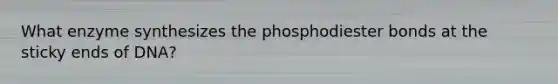 What enzyme synthesizes the phosphodiester bonds at the sticky ends of DNA?