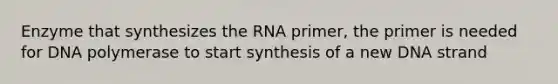 Enzyme that synthesizes the RNA primer, the primer is needed for DNA polymerase to start synthesis of a new DNA strand