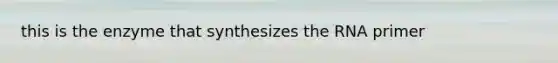 this is the enzyme that synthesizes the RNA primer