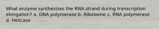 What enzyme synthesizes the RNA strand during transcription elongation? a. DNA polymerase b. Ribosome c. RNA polymerase d. Helicase