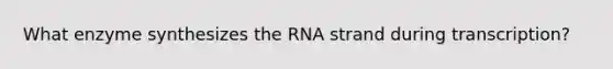 What enzyme synthesizes the RNA strand during transcription?