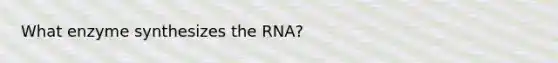 What enzyme synthesizes the RNA?