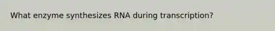 What enzyme synthesizes RNA during transcription?