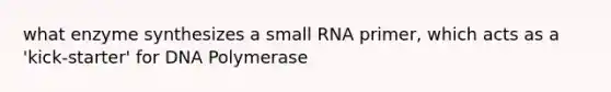 what enzyme synthesizes a small RNA primer, which acts as a 'kick-starter' for DNA Polymerase