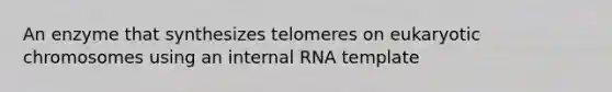 An enzyme that synthesizes telomeres on eukaryotic chromosomes using an internal RNA template