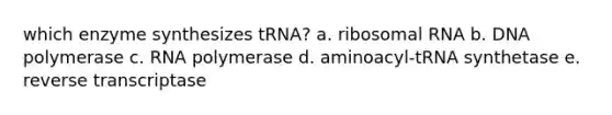 which enzyme synthesizes tRNA? a. ribosomal RNA b. DNA polymerase c. RNA polymerase d. aminoacyl-tRNA synthetase e. reverse transcriptase