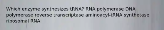 Which enzyme synthesizes tRNA? RNA polymerase DNA polymerase reverse transcriptase aminoacyl-tRNA synthetase ribosomal RNA