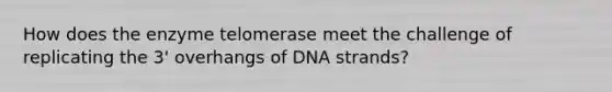 How does the enzyme telomerase meet the challenge of replicating the 3' overhangs of DNA strands?