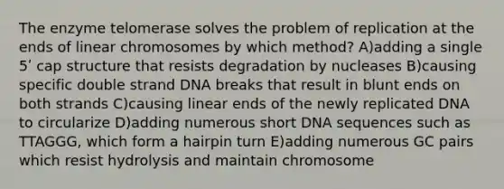 The enzyme telomerase solves the problem of replication at the ends of linear chromosomes by which method? A)adding a single 5ʹ cap structure that resists degradation by nucleases B)causing specific double strand DNA breaks that result in blunt ends on both strands C)causing linear ends of the newly replicated DNA to circularize D)adding numerous short DNA sequences such as TTAGGG, which form a hairpin turn E)adding numerous GC pairs which resist hydrolysis and maintain chromosome