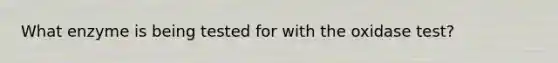 What enzyme is being tested for with the oxidase test?