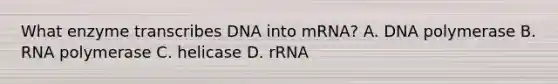 What enzyme transcribes DNA into mRNA? A. DNA polymerase B. RNA polymerase C. helicase D. rRNA