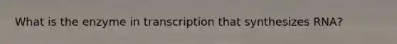 What is the enzyme in transcription that synthesizes RNA?