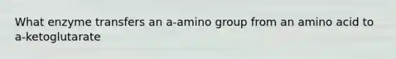 What enzyme transfers an a-amino group from an amino acid to a-ketoglutarate