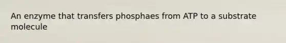 An enzyme that transfers phosphaes from ATP to a substrate molecule